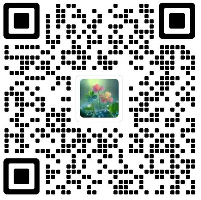 红蜻蜓杂志模板